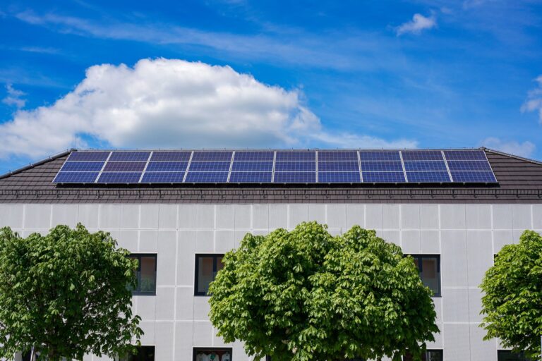 Ideen für ein umweltfreundliches Zuhause im Jahr 2025
