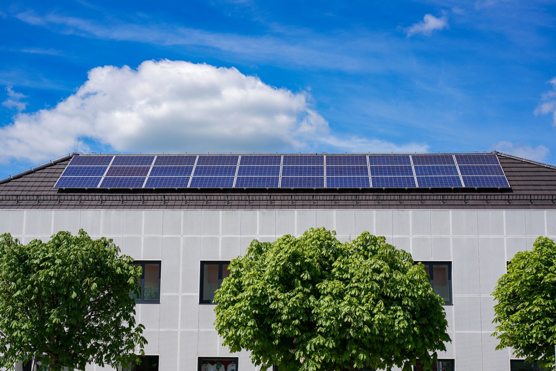 Ideen für ein umweltfreundliches Zuhause im Jahr 2025