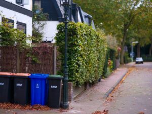 A quiet residential street with recycling bins and lush greenery. Autumn leaves scattered on the pavement.
