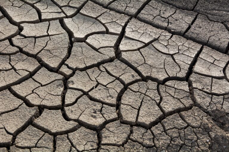 Wasserknappheit: Herausforderungen und Lösungen im Jahr 2025